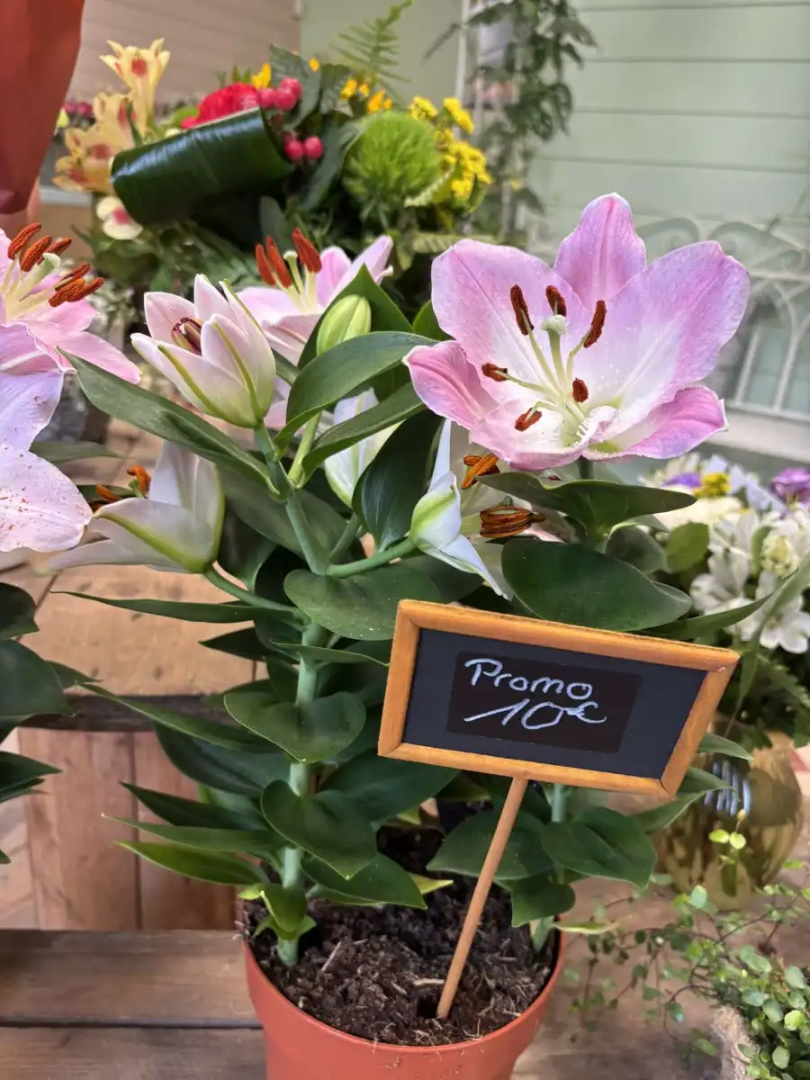 Dame Nature Fleuriste La Chartre Sur Le Loir Bouquet Fleurs 1