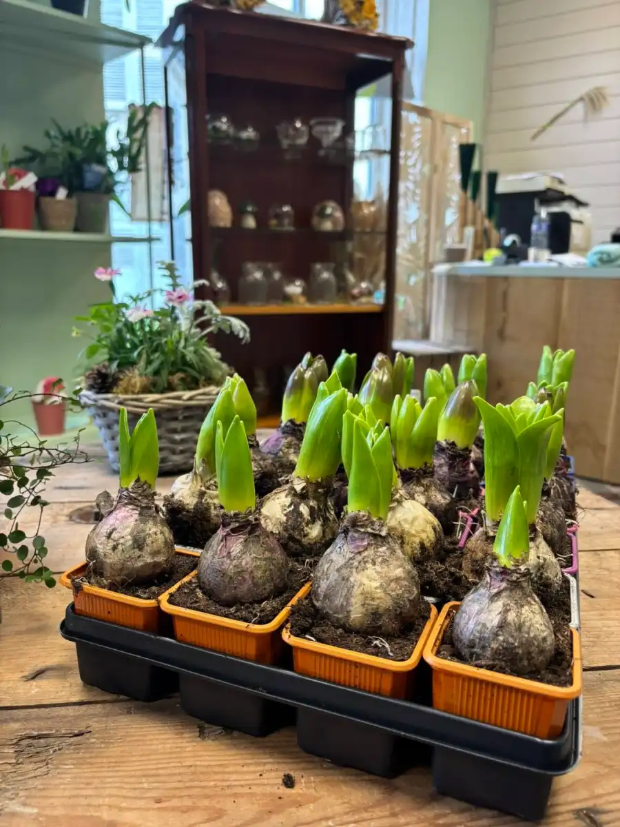 Dame Nature Fleuriste La Chartre Sur Le Loir Bouquet Fleurs 11