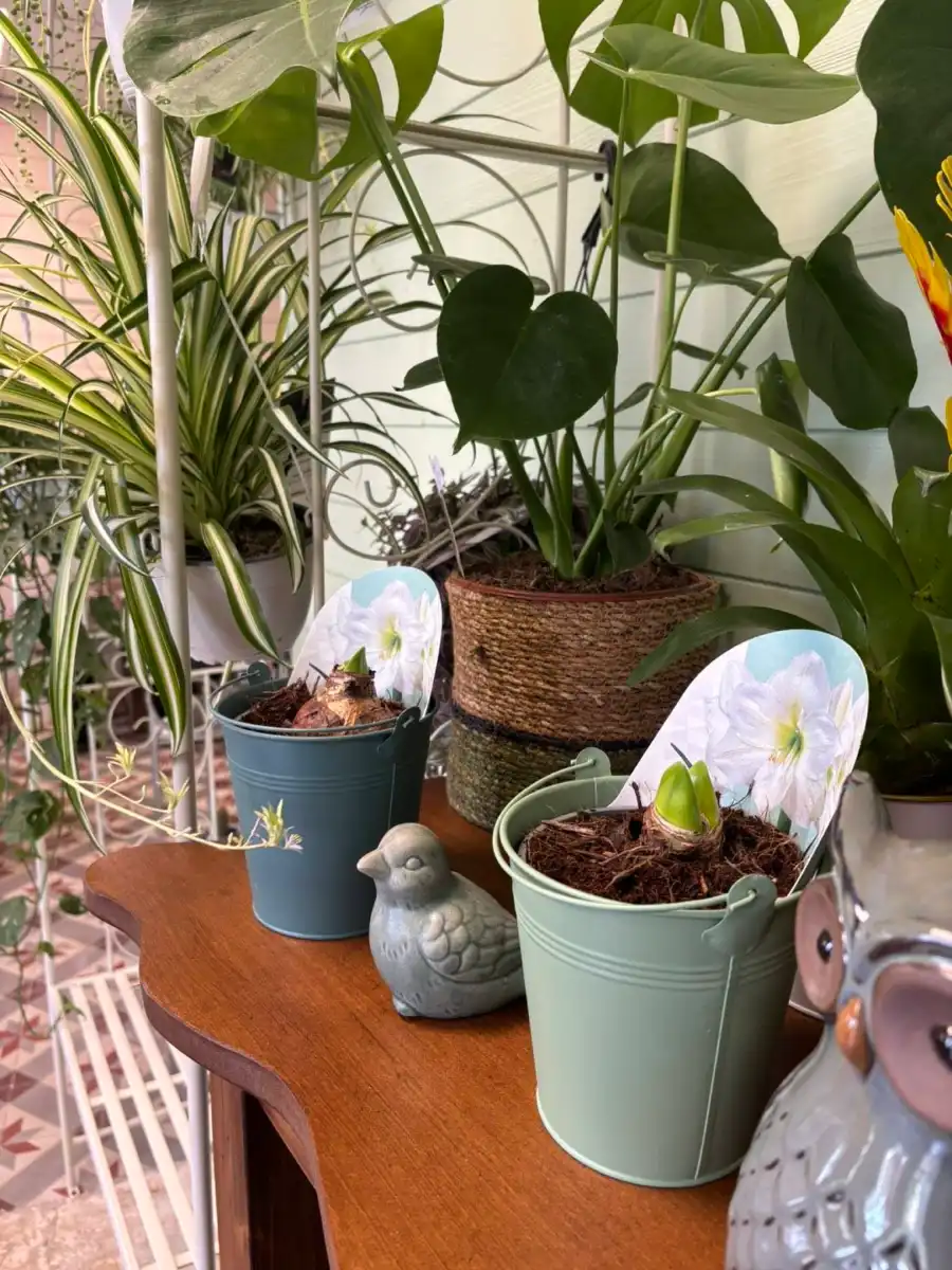 Dame Nature Fleuriste La Chartre Sur Le Loir Bouquet Fleurs 13