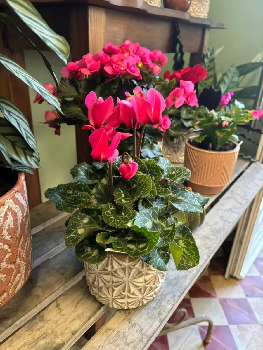 Dame Nature Fleuriste La Chartre Sur Le Loir Bouquet Fleurs 14